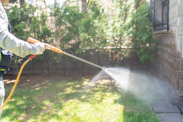 Professional Pest Control in Dyersburg, TN