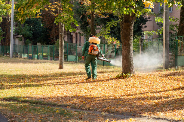 Best Insect Control  in Dyersburg, TN